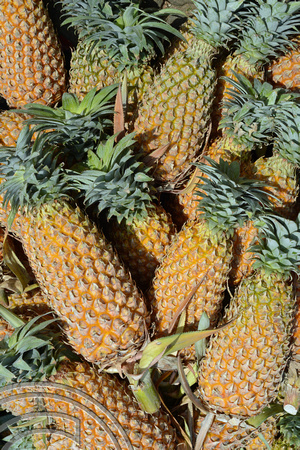 DG237314. Pineapples. Manning market. Colombo. Sri Lanka. 11.1.16.