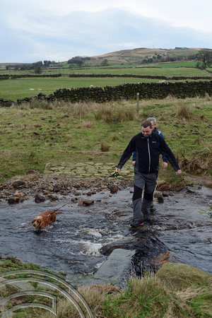 DG236911. Dogs and water. Diggle. 28.12.15.