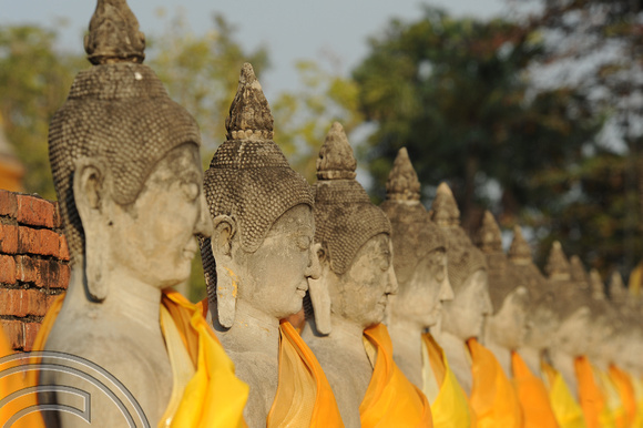 TD10085.  Buddhas. Wat Yai Chai Mongkol. Ayutthaya. Thailand. 18.1.09.