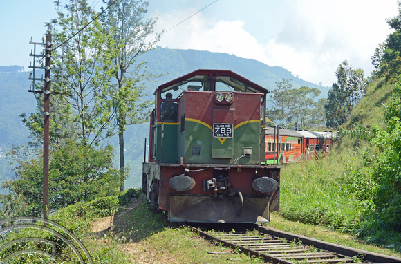 DG238089. M6 789. West of Haputale. Hill Country. Sri Lanka. 18.1.16.