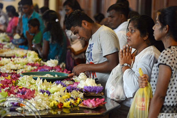 DG237612. Offering prayers and flowers.Temple of the tooth. Kandy. Sri Lanka. 13.1.16.