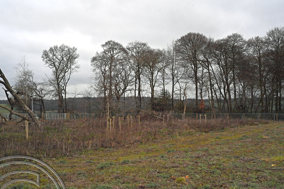 DG392191. HS2 mitigation planting. Jones' Hill woods. Buckinghamshire. 1.4.2023.