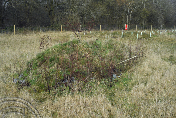 DG365820. HS2 mitigation. Reptile mound. Cubbington Wood. Warks. 17.2.2022.