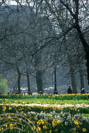 T10719 Green Park in the Spring. London. England. 30.3.01