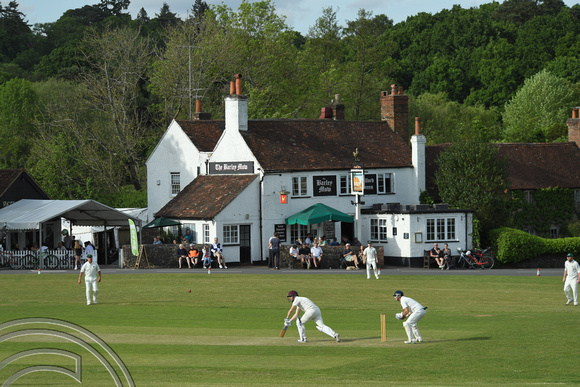 DG370768. Cricket on the green. Tilford. Surrey. 21.5.2022.