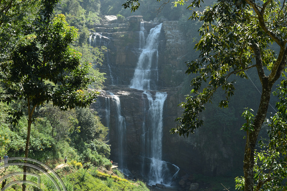 DG237763. Ramboda falls. Hill country. Sri Lanka. 15.1.16.