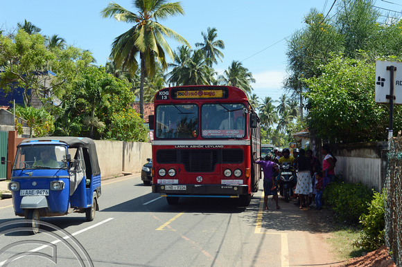 DG238348. Lanka Ashok Leyland bus. Mirissa. Sri Lanka. 26.1.16