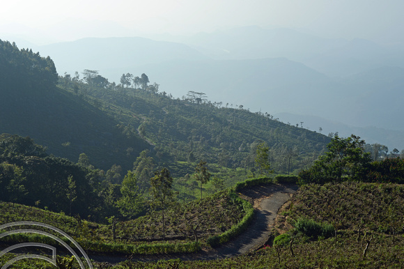 DG238031. The view from our balcony. Haputale. Hill Country. Sri Lanka. 18.1.16.JPG