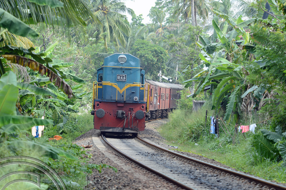 DG238642. Class M8 No 844. Unawatuna. Sri Lanka. 29.1.16