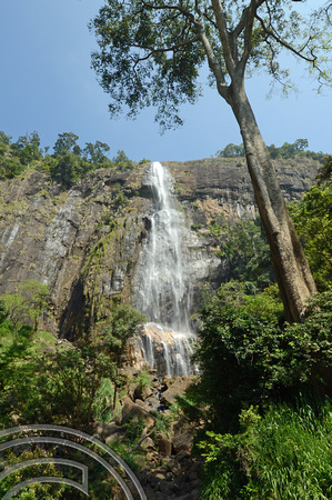 DG238246. Diyaluma falls. Sri Lanka. 19.1.16