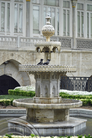 DG393391. Crows bathing in a fountain. Topkapi Palace. Istanbul. Turkey. 6.5.2023.