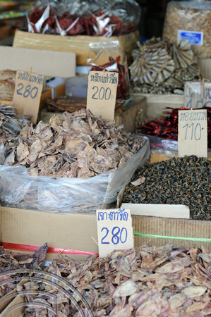TD08255. Dried fish. Bangkok. Thailand 1.1.09