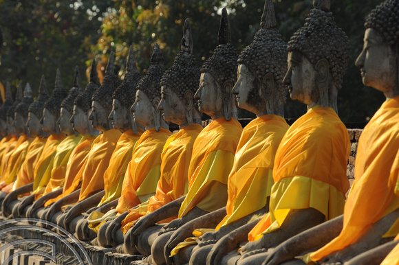 TD10062.  Buddhas. Wat Yai Chai Mongkol. Ayutthaya. Thailand. 18.1.09.