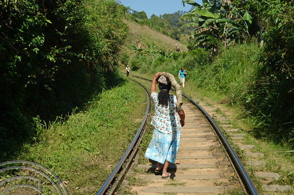DG237852. The railway as a thoughofare. Ella. Sri Lanka. 15.1.16.
