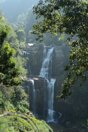DG237761. Ramboda falls. Hill country. Sri Lanka. 15.1.16.