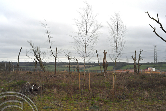 DG392193. HS2 mitigation planting. Jones' Hill woods. Buckinghamshire. 1.4.2023.