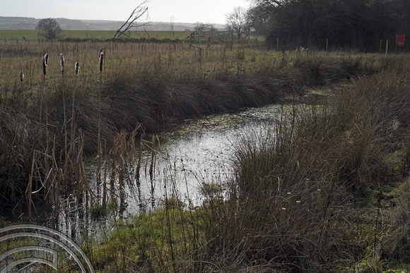 DG365821. HS2 mitigation. New pond. Cubbington Wood. Warks. 16.2.2022.