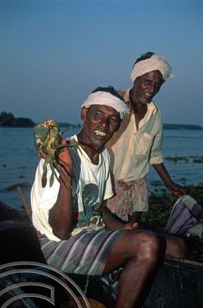 T6280. Fishermen landing crabs. Fort Cochin. Kerala. India. 23.12.1997