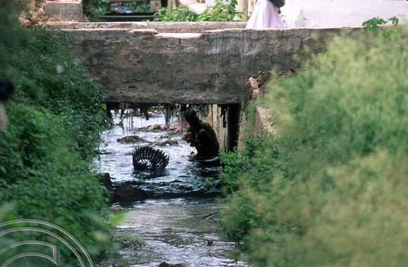 T6226. Searching the rubbish. Mysore. Karnataka. India. December.1997