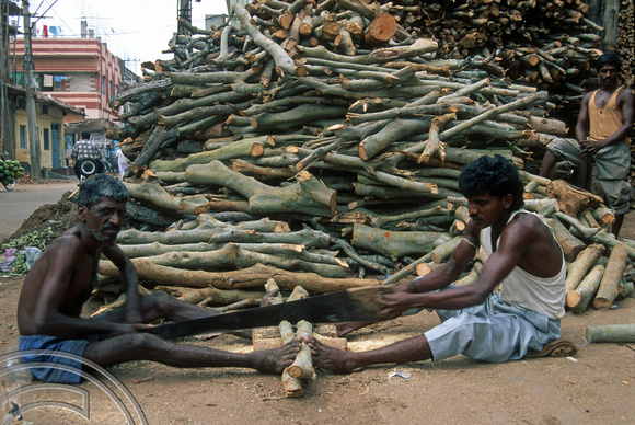T6249. Cutting logs with a saw. Mysore. Karnataka. India. December.1997