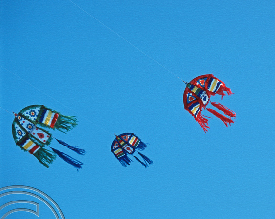 T14497. Sunday kite flying on Galle Face Green. Colombo. Sri Lanka. 29.12.02