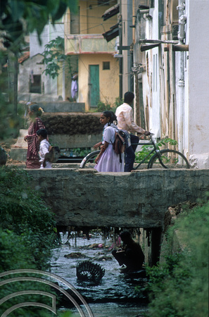 T6231. Searching the rubbish. Mysore. Karnataka. India. December.1997