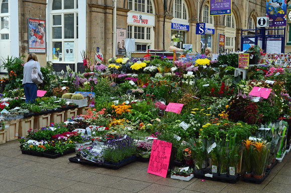 DG248758. Flower stall on the station. Hull. 1.8.16