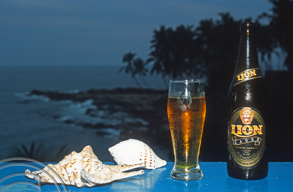 T14424. Lion beer at sunset. Rocky Point Beach Bungalows. Goyambokka. Tangalle. Sri Lanka. 27.12.02