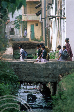 T6230. Searching the rubbish. Mysore. Karnataka. India. December.1997