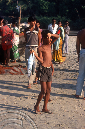 T4518. Boy with freshly caught Kingfish. Arambol. Goa. India. December 1993.