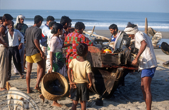 T4522. Unloading the catch from a fishing boat. Arambol. Goa. India. December 1993.