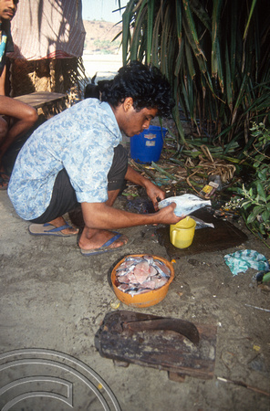 T4581. Cleaning fish at the back of a beach restaurant. Arambol. Goa. India. January 1994.