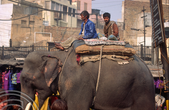 T4611. Elephant walking through the Paharganj. Old Delhi. India. January 1994.