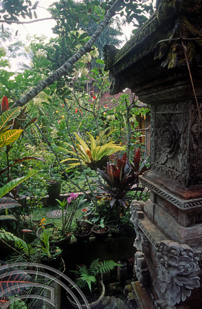 T4760. The garden at Ketut's Place. Ubud. Bali. Indonesia. December 1994
