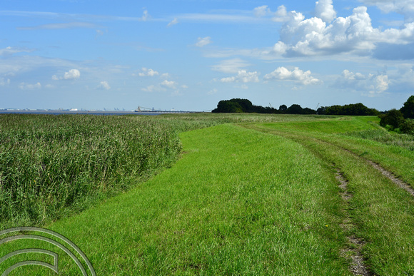 DG399328. The Nev Cole way path along the Humber. Barrow Haven. Lincolnshire. 26.7.2023.