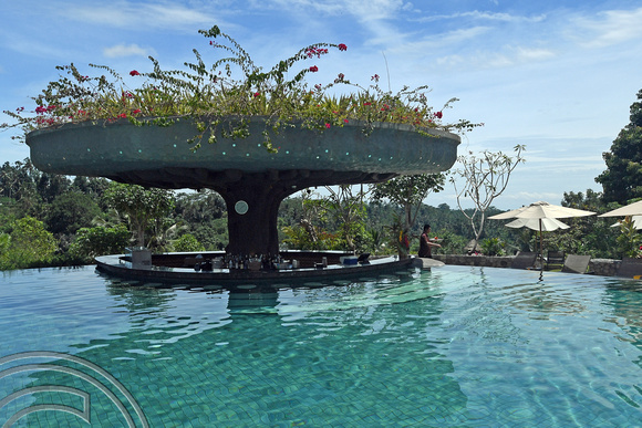 DG264068. Padma resort. Ubud. Bali. Indonesia. 4.2.17