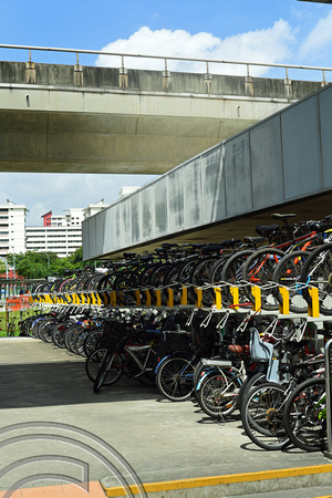 DG265634. Cycle storage. East-West line. Pasir Ris. Singapore. 17.2.17