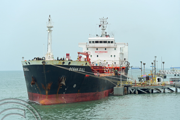 DG267064. Ocean Gull. Tanker. Built 2012. 9500 dwt. Reg, Singapore. Penang Harbour. Malaysia. 24.2.17