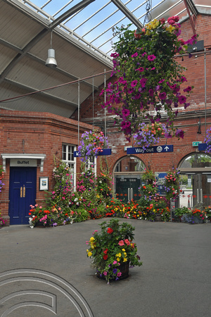 DG400291. Station floral display. Bridlington. 8.8.2023.
