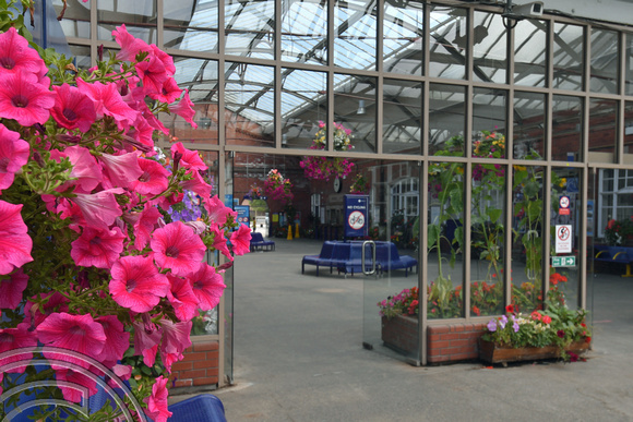 DG400301. Station floral display. Bridlington. 8.8.2023.