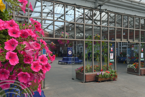 DG400302. Station floral display. Bridlington. 8.8.2023.
