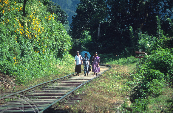 17018. Women walking along the railway tracks in the hill country. Ella. Sri Lanka. 02.01.04