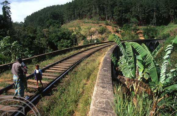 17070. The 9 arch viaduct on the hill railway near Demodara. Sri Lanka. 03.01.04