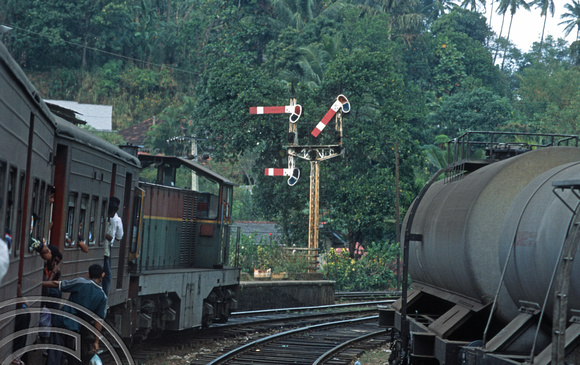 17105. Peredinya Junction. Sri Lanka. 04.01.04