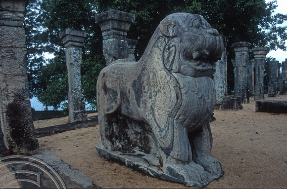 17185. Stone lions at the Kings council chamber. Polonnaruwa. Sri Lanka. 09.01.04
