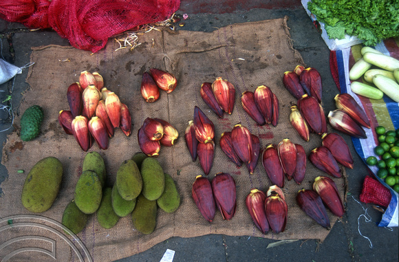 17178. Selling banana flowers for cooking. Polonnaruwa. Sri Lanka. 09.01.04