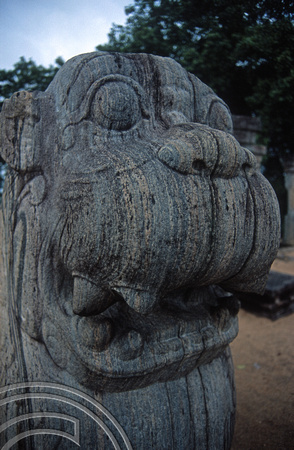 17186. Stone lions at the Kings council chamber. Polonnaruwa. Sri Lanka. 09.01.04