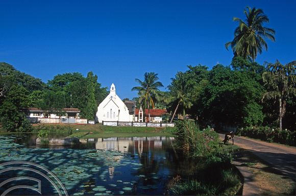 17219. Christ Church and the pond. Tangalle. Sri Lanka. 30.12.03