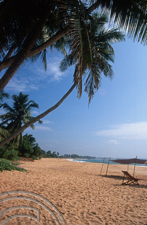 17215. The beach. Tangalle. Sri Lanka. 30.12.03