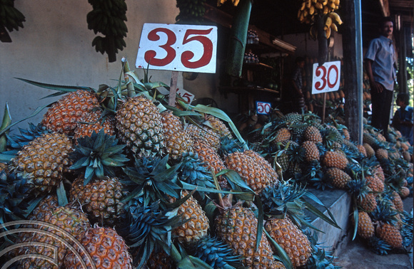 17198. Fruit for sale. Polonnaruwa. Sri Lanka. 09.01.04
